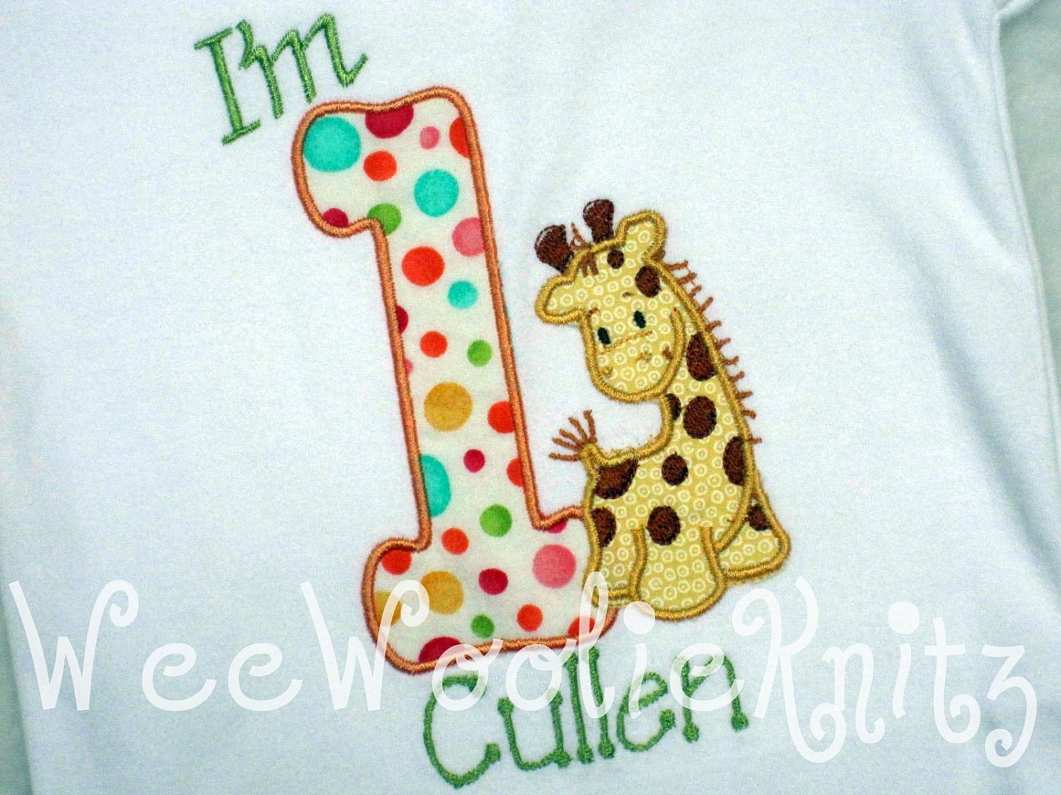 Giraffe Birthday T Shirt Boys Appliqued Personalized Jungle 1st 2nd 3rd