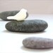 Serene bird rock paperweight