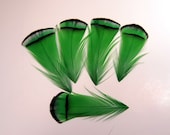 Green Feathers Lady Amherst pheasant tippets Feathers for facinators earrings hair fly tying crafts 10 pk LATD-01