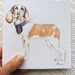 Cravat Wearing Canine - Square Blank Greeting Card