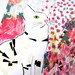Andy Cat - Archival A4 Print From Original Illustration