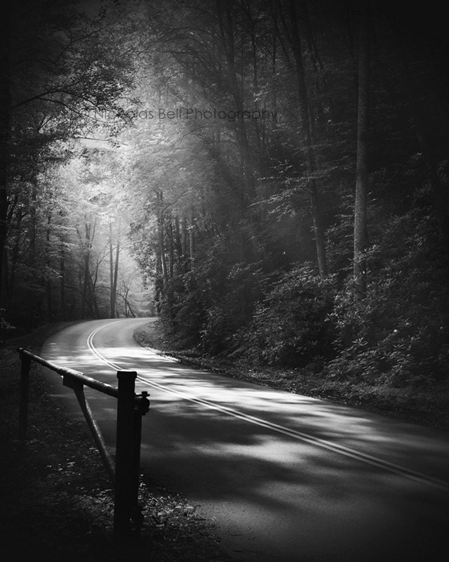 Black and white photography / landscape photography / nature photography / ethereal / fog / 8 x 10 print