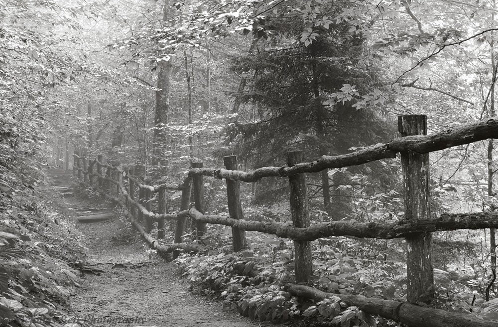 Black and White Photography / landscape / smoky mountains / Appalachian Trail 12 x 8 print