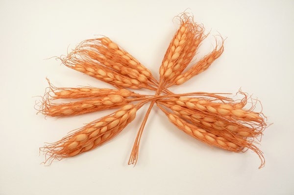 Orange sheaf of wheat embellishment - Pack of 10
