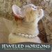 Classy Cat Collar--Pearls for your kitty