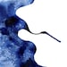 Winter Flight - watercolour abstract blue wing bird in flight - Print 11 x 8