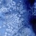 Winter Flight - watercolour abstract blue wing bird in flight - Print 11 x 8