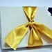 Macall Leopard Print Bow Tie