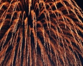 Fire In The Sky - Fine Art Photography Fireworks Fire Sparkle