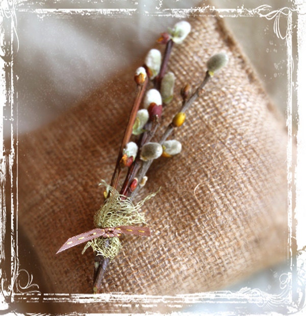 Fuzzy Pussy Willow Boutonniere - Country Rustic Wedding Natural - Woodland Weddings - Groom Groomsmen - Summer Twig Branches - Botanical