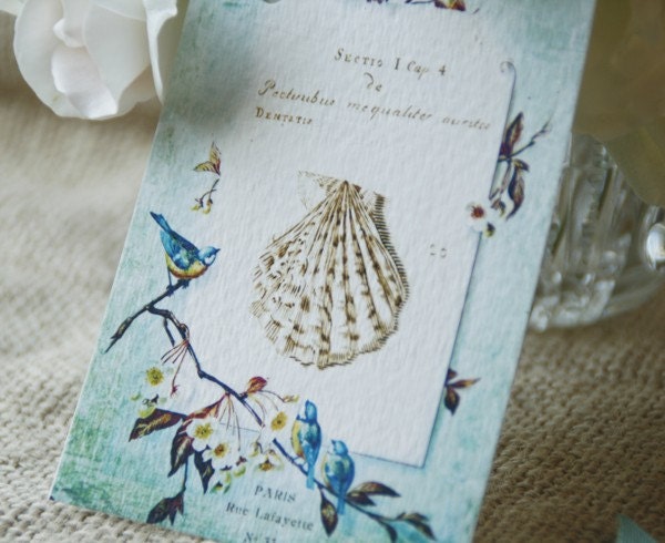 Sea Shell Bird Gift Tags Vintage Style Antique Prints - Set of 3 - Printed on watercolor paper