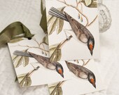Gift Tags Bird Vintage Antique Print on Watercolor Paper