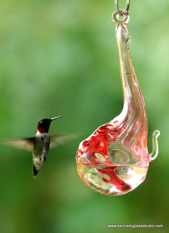 The Kennedy Style Hummingbird Feeder, The Original One Piece Drip-less Hummingbird Feeder/Gold Hobnail Gourd