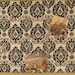 DELUXE - Wedding Photo Display Board - Black and White Damask & Fuscia Buttons / Large 25" x 20"
