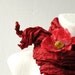 Valentine SALE Poppy Red Wrinkled Scarf Fall