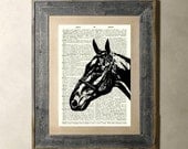 Horse - Printed on a Vintage Dictionary Page 8X10