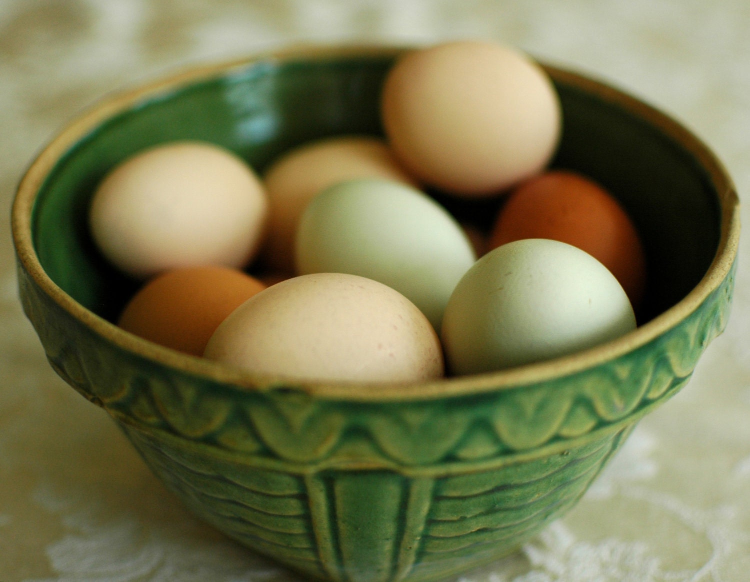 Fresh Eggs - 8 by 10 - emawilliamson