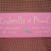 Cinderella is proof a new pair of shoes can change your life, primitive wood sign, princess