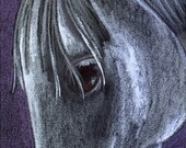 A Soulful Eye