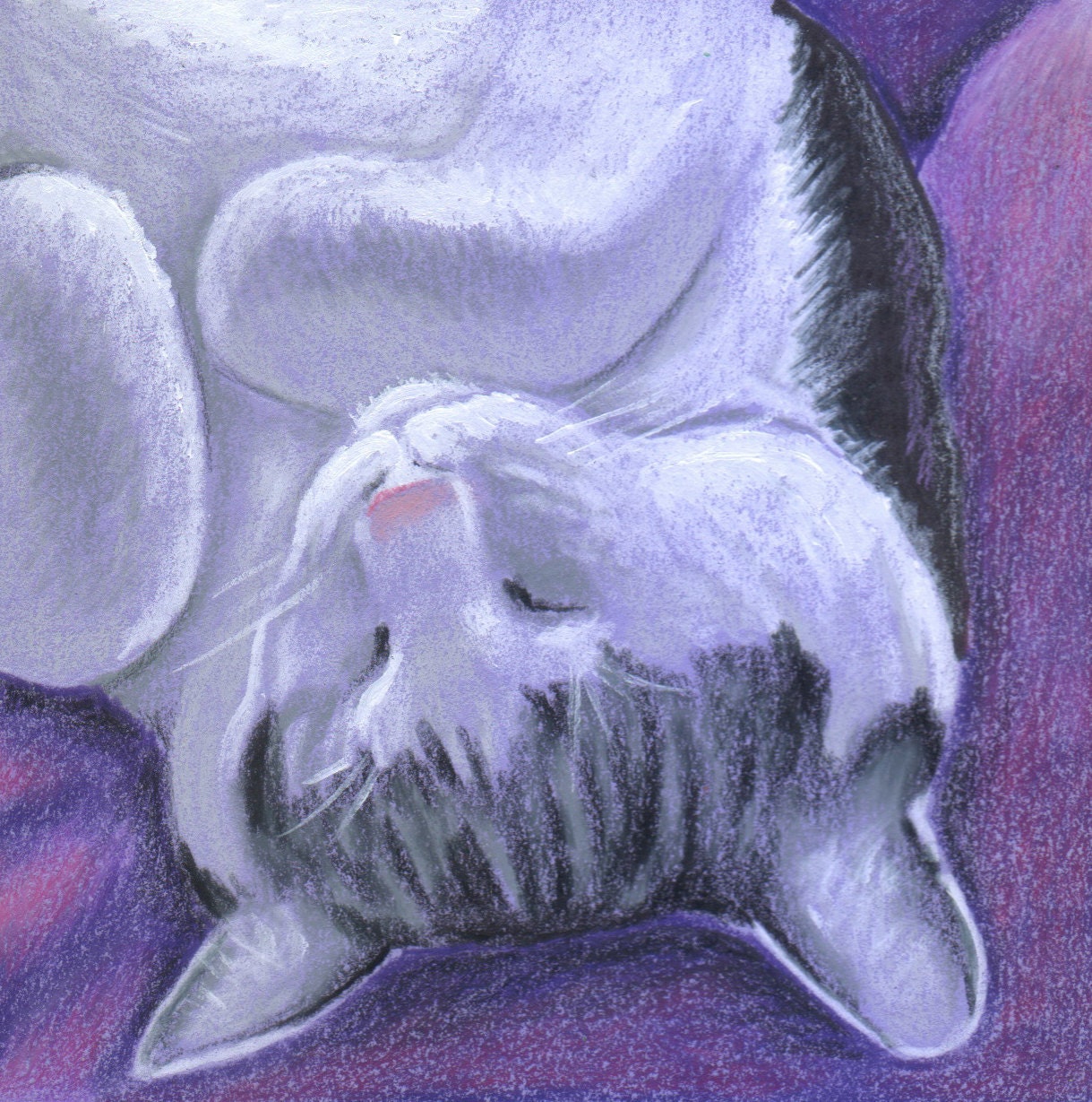 Zensational Nap
