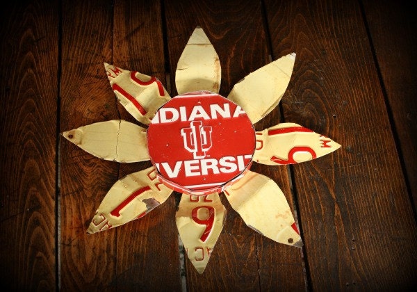 License Plate Flower - Indiana University (Indiana, IU)