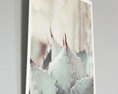 Sparkling Mint Succulent - Dreamy Soft Pastel Succulent Photography Print  (5x7) Mint Green Blue Gray Succulent Art