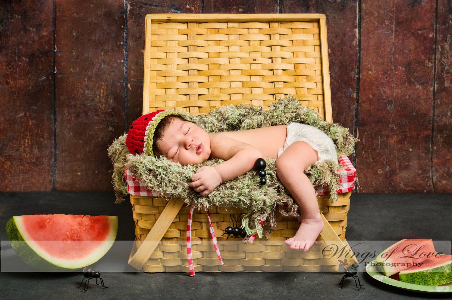 Crocheted WATERMELON Baby Hat - Newborn - 100% Cotton