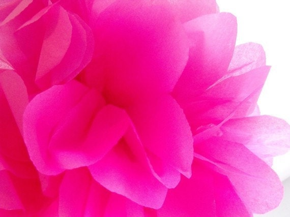 Cerise ... 1 Pom Il_170x135
