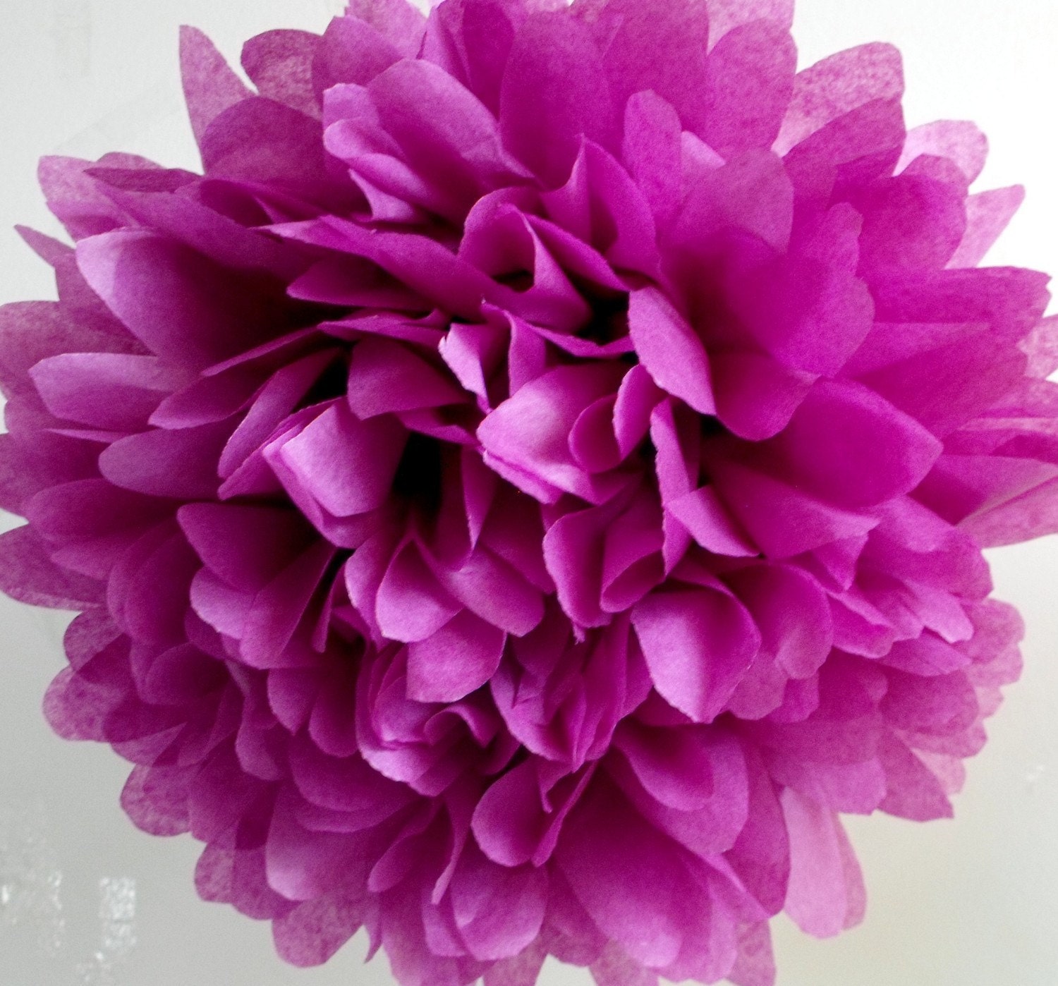 Plum ... 1 Pom Il_170x135