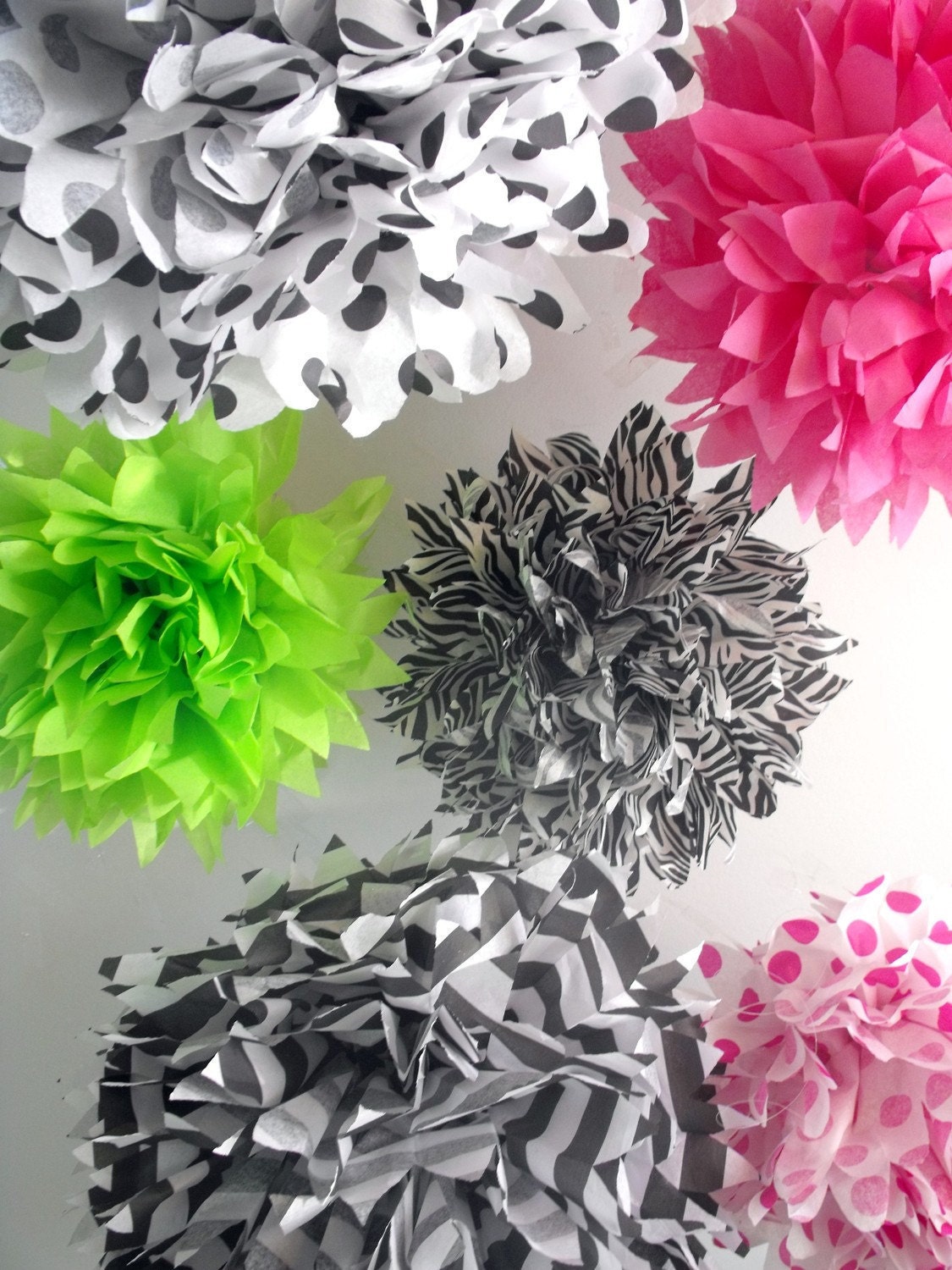 zebra hot pink and lime green - oh my ... 6 poms