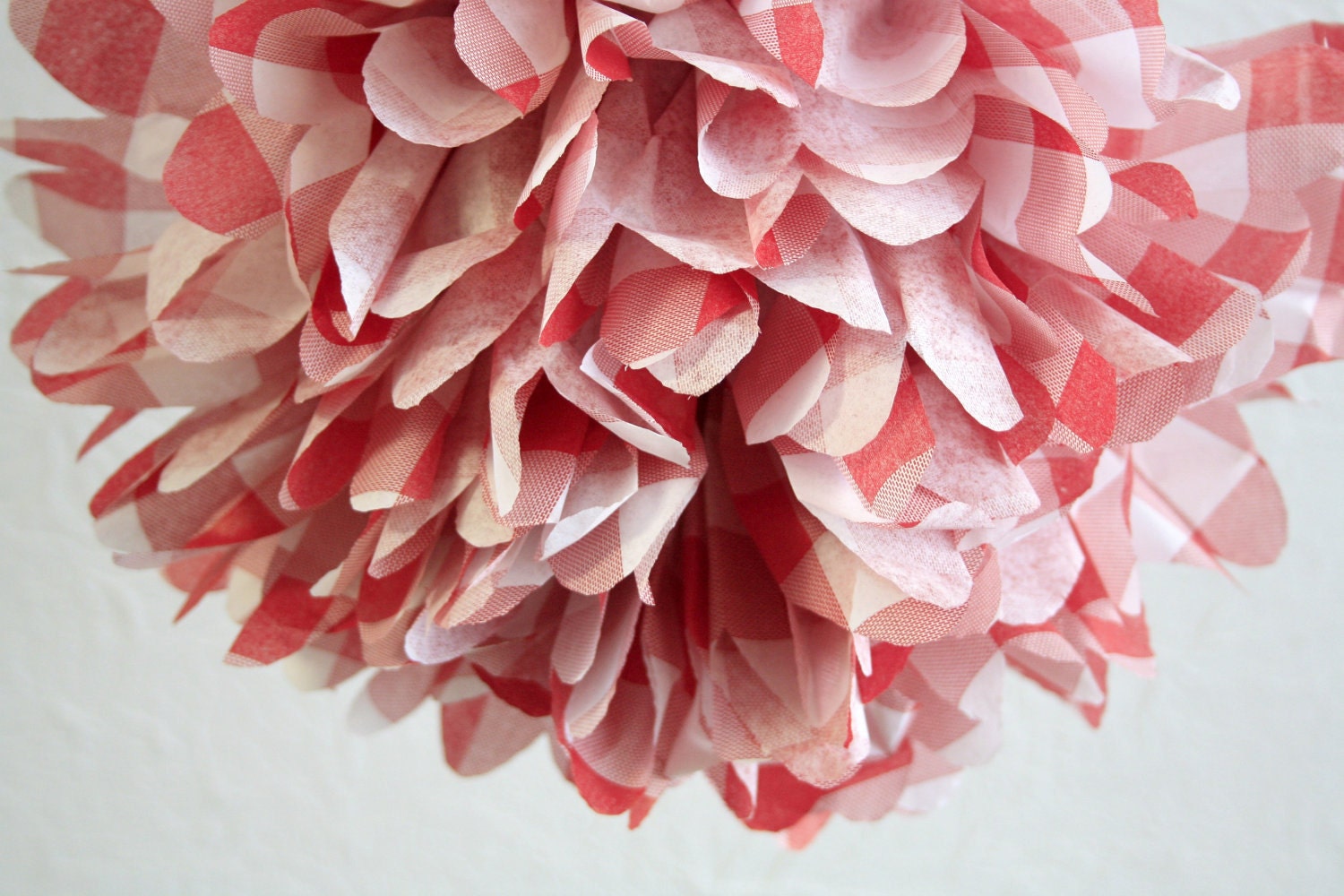 picnic  ... 1 Tissue paper pom