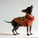 Too hip to be a Granny Square size XX Small Dog Sweater, burnt orange and lime