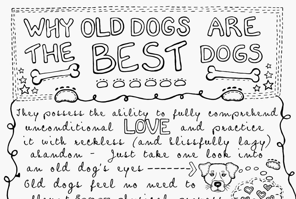 Why Old Dogs Are The Best Dogs - 8x10 Gray and Black Dog ART PRINT