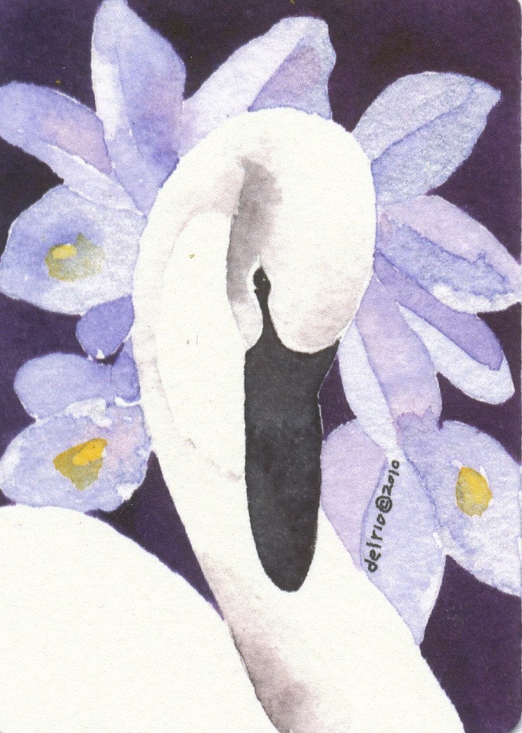 TUNDRA SWAN  aceo watercolor giclee PRINT
