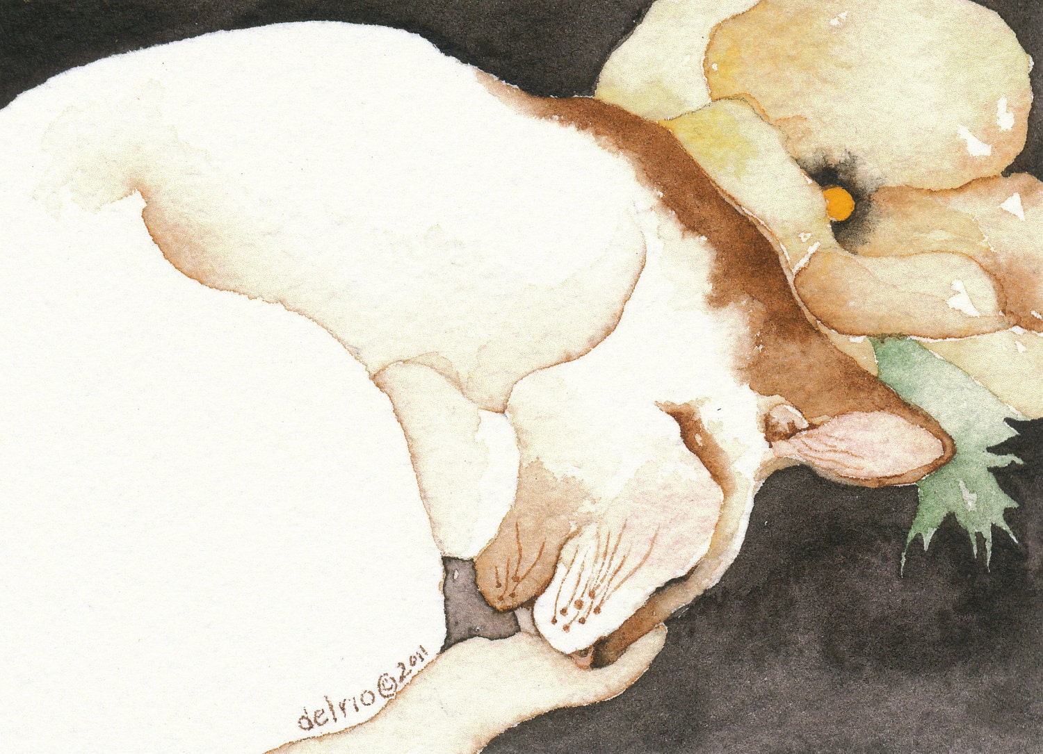 POPPY 5 x 7 watercolor giclee PRINT sleeping cat spirit - Free Shipping