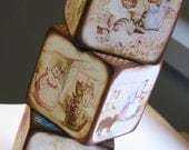 Beatrix Potter Blocks