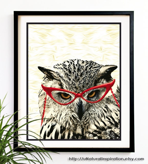 20% OFF Sale Owl print Room decor Bedroom wall Unique wall art Owl red glasses Bedroom decor prints wall hanging collage mixed media (9027)