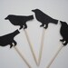 24 Decorative Black Crow Bird Halloween Toothpicks/Party Picks/Cupcake Toppers - No323