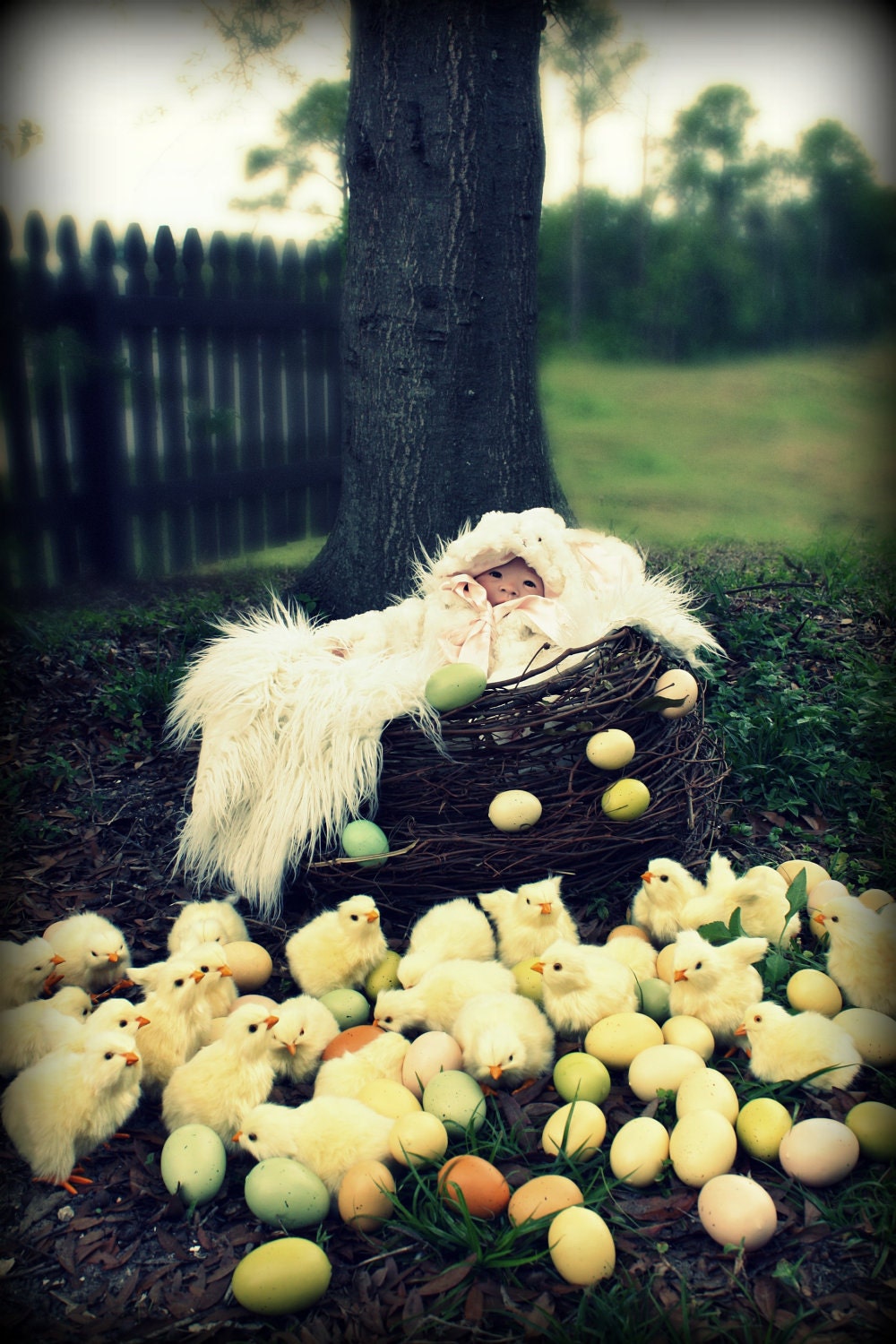 SET-Extra Large Twins Owl Nest and Ten Easter Eggs Infant Photography Prop Set