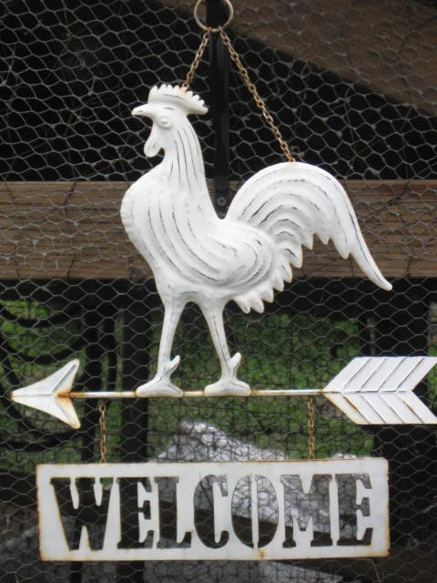 Rooster Welcome Sign Blank note card by Carla Garloff
