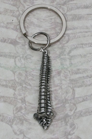 Spine Key Chain