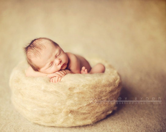 Photo Prop -  Needle Felted Nest - Custom Order - Color in photo not available