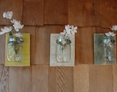 PICK YOUR COLORS  Mason jars mounted on recycled wood Wall Decor in your choice of colors