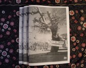 Trees Die Standing Issue Two