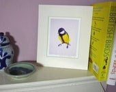 Limited Edition bird illustration print - 'Great Tit'