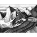 Print from my book 'Five' (Mountains)