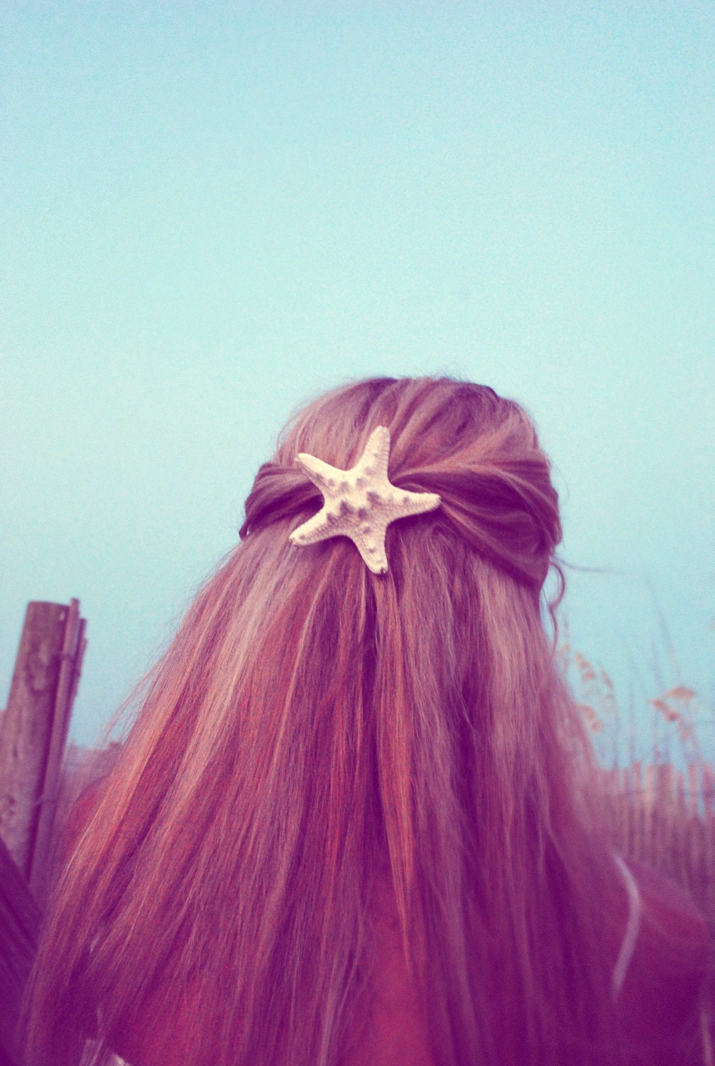 Knobby Starfish Hair clip Real Starfish french barrette