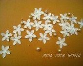Applique Flower Lace -10 PCS White Flowers Appliques