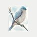 ORIGINAL PAINTING Fine Art Miniture " Tiny Bluebird " Tiny Treasure Collectables