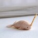 baby narwhal - narwhal soft sculpture plush by royalmint